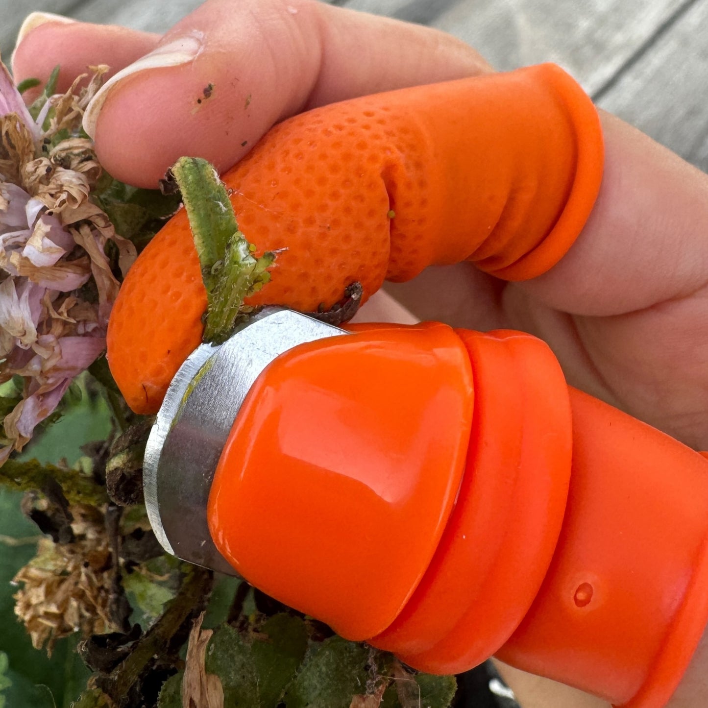 Silicone Thumb Knife