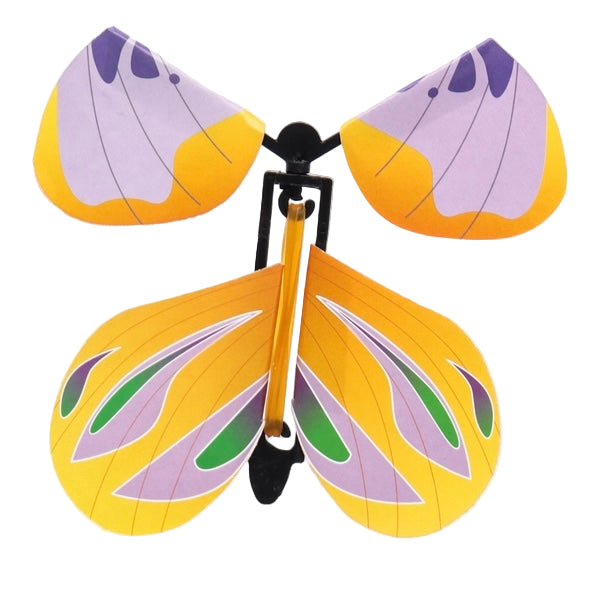 Experience — 3D Butterflies