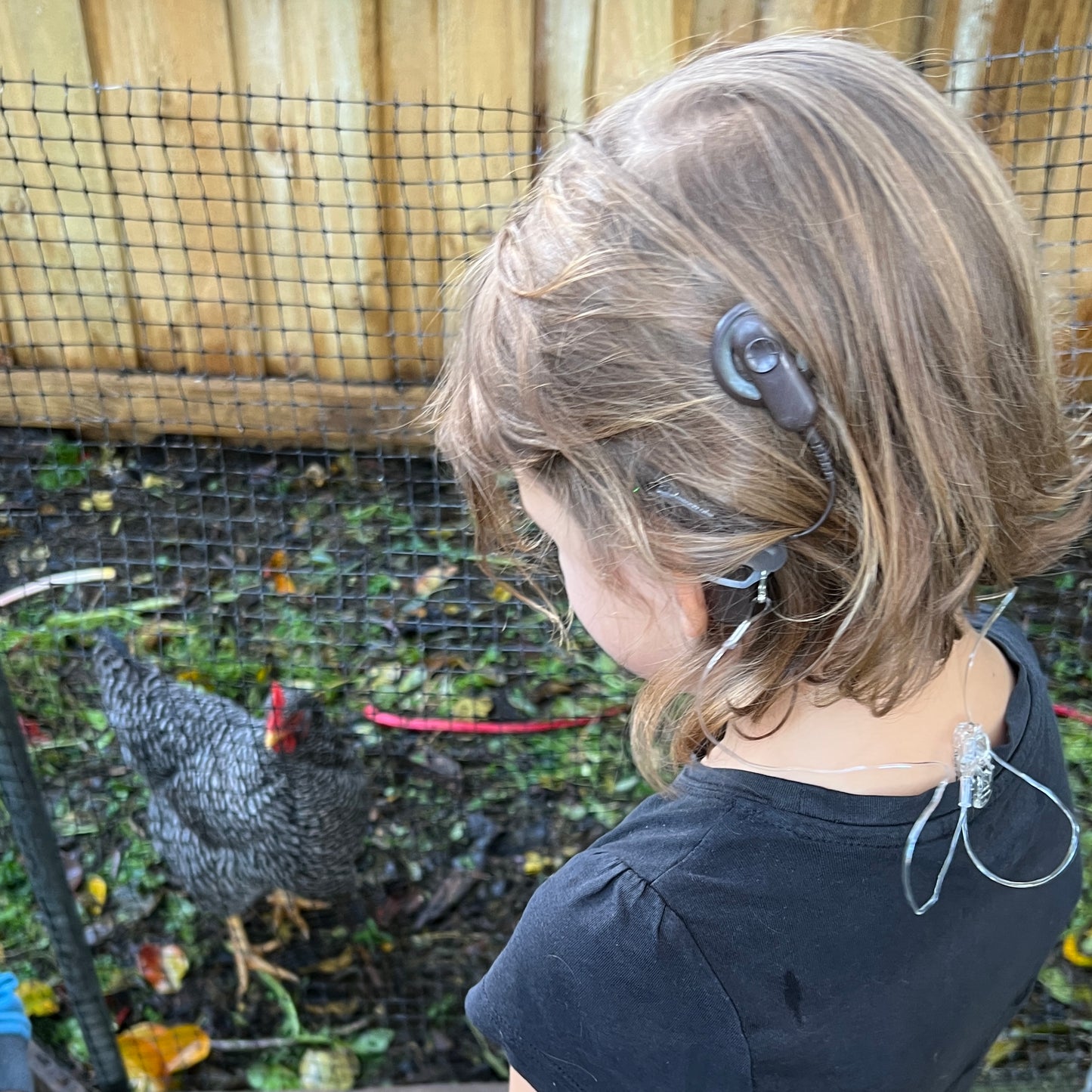 Hearing Aid Safety Clips — Transparent Hearing Aids SPIRIT SPARKPLUGS