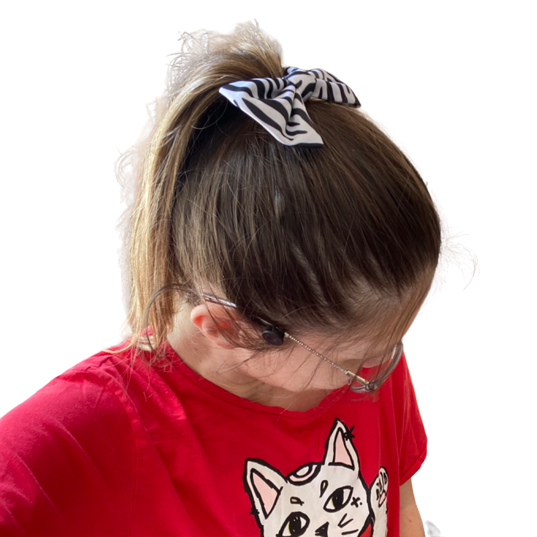 Hair Bow — Zebra Hair Claws & Clips SPIRIT SPARKPLUGS
