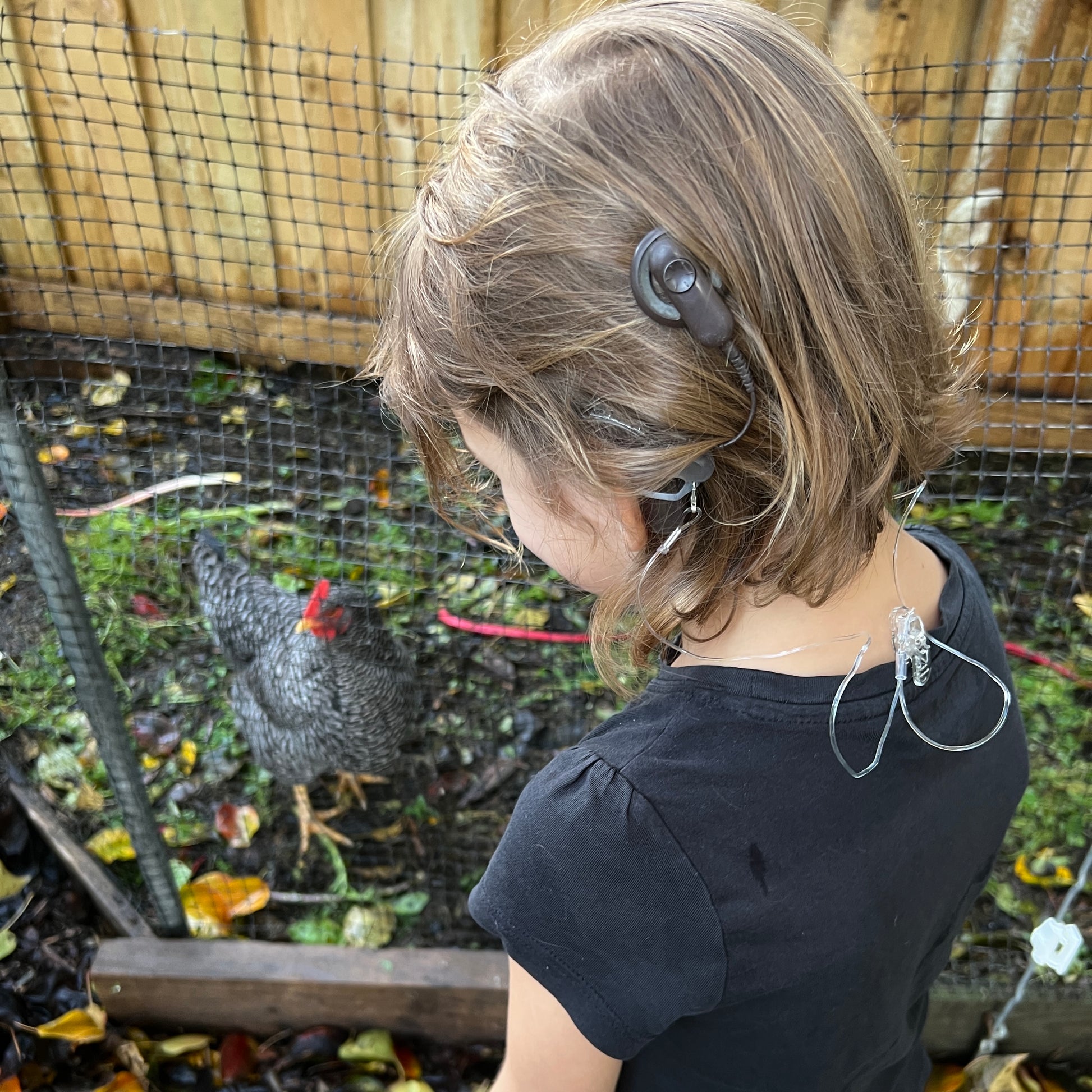 Hearing Aid Safety Clips — Transparent Hearing Aids SPIRIT SPARKPLUGS