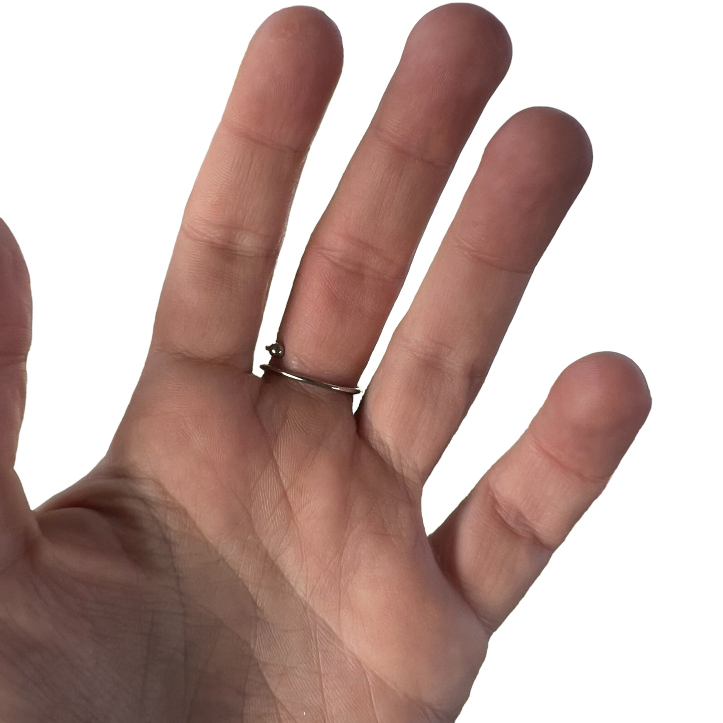 Adjustible Fidget Rings