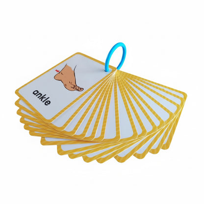 Communication Cards — Body Parts