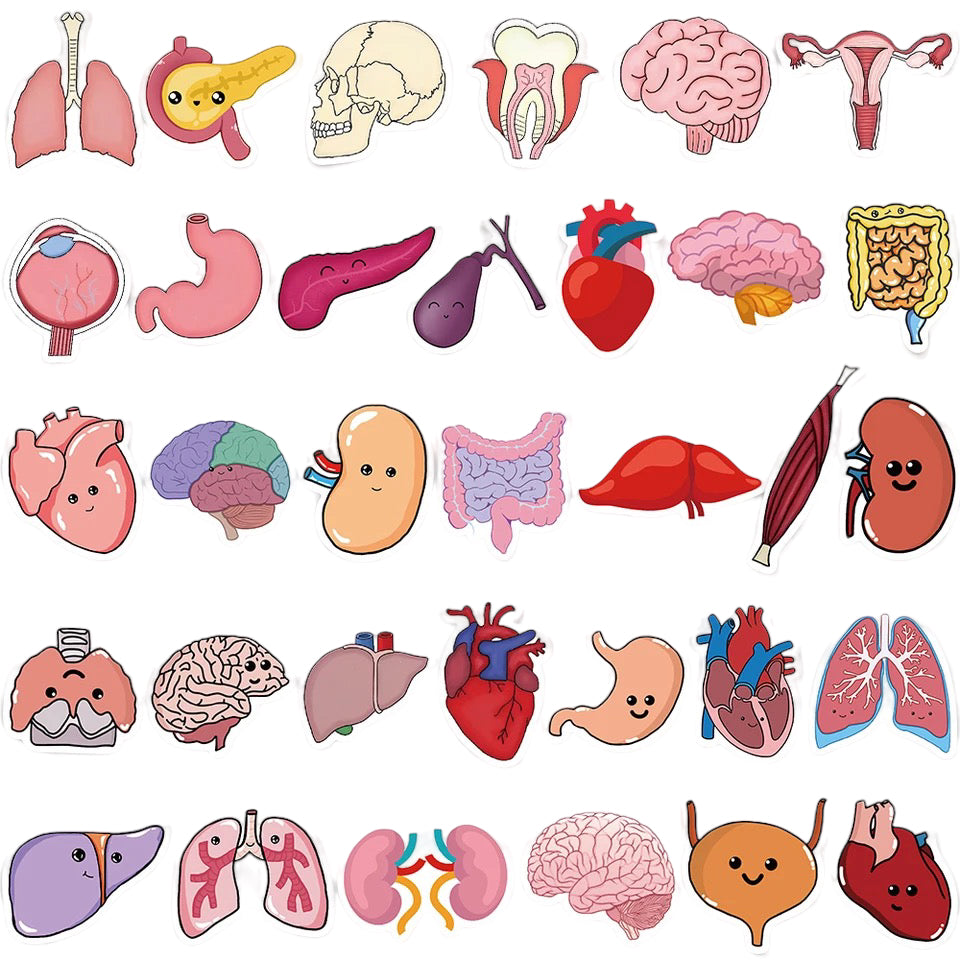 Stickers — Internal Organs Theme