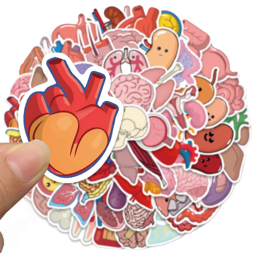 Stickers — Internal Organs Theme