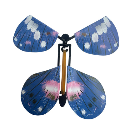 Experience — 3D Butterflies
