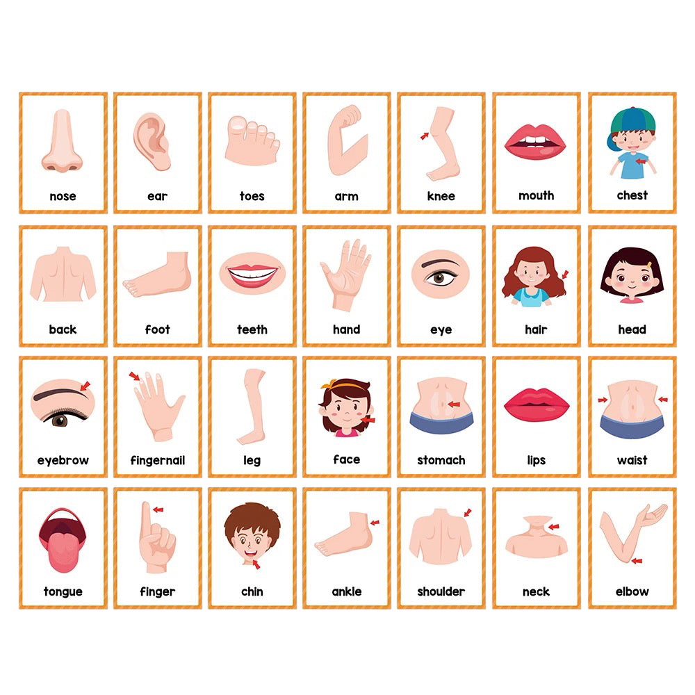 Communication Cards — Body Parts