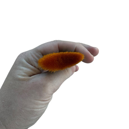 Vehicle — Dash Duster