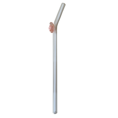 Turtle Friend Straws