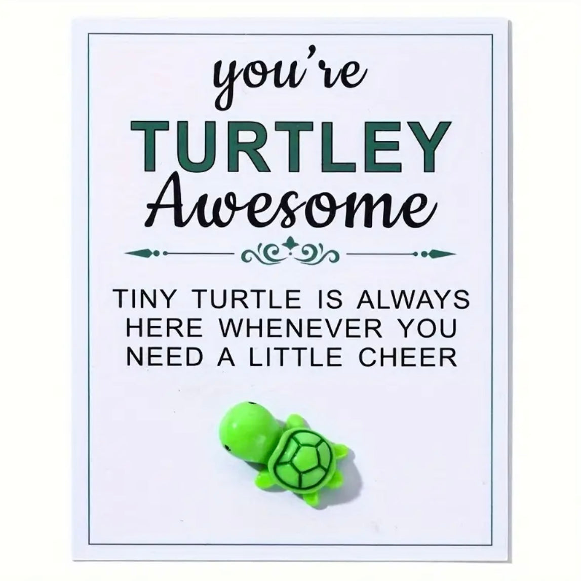 Gift — ‘You’re Turtley Awesome’.