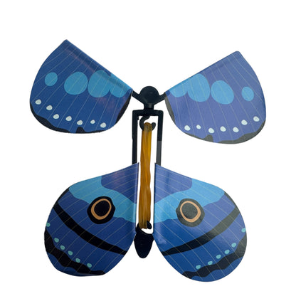 Experience — 3D Butterflies